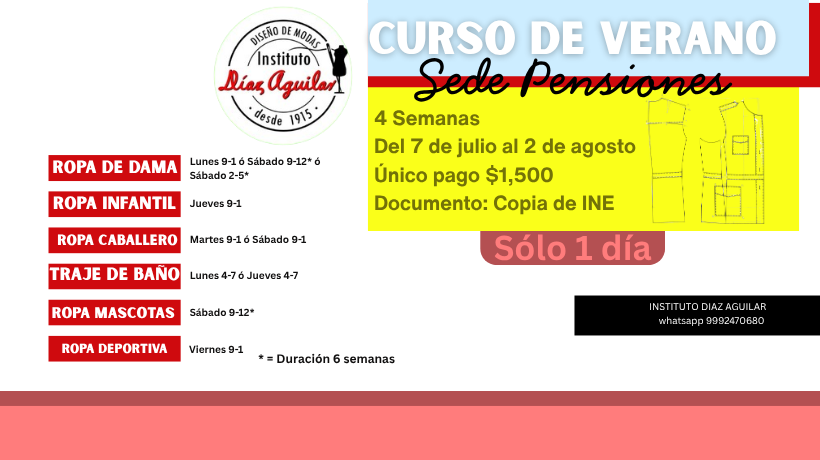 CURSO DE VERANO 2025